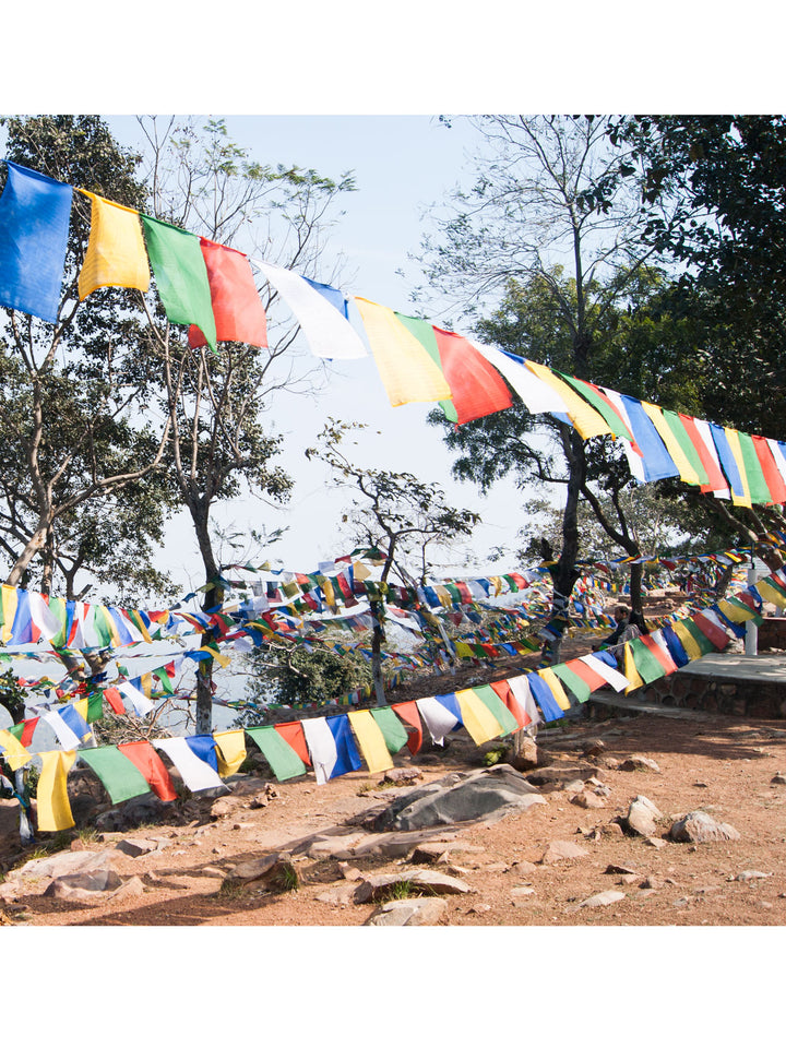 Vertical Tibetan Prayer Flags Darchok