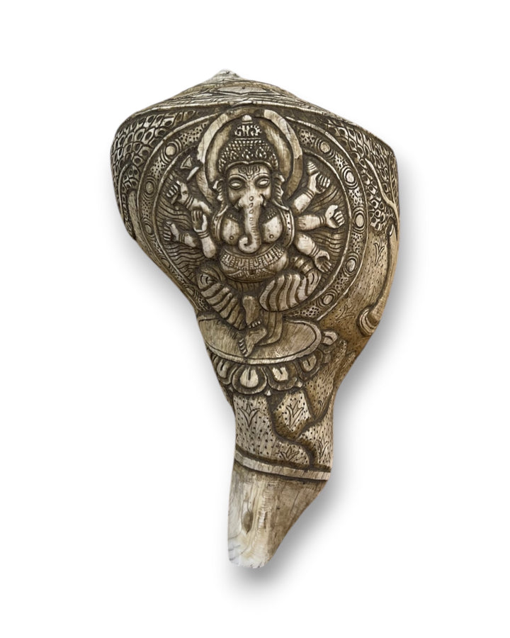 Hand Carved Traditional Tibetan Conch (Ganesha)