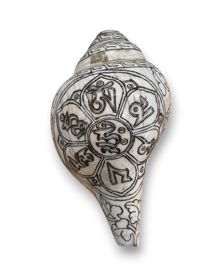 Hand Carved Traditional Tibetan Conch (Mantra)