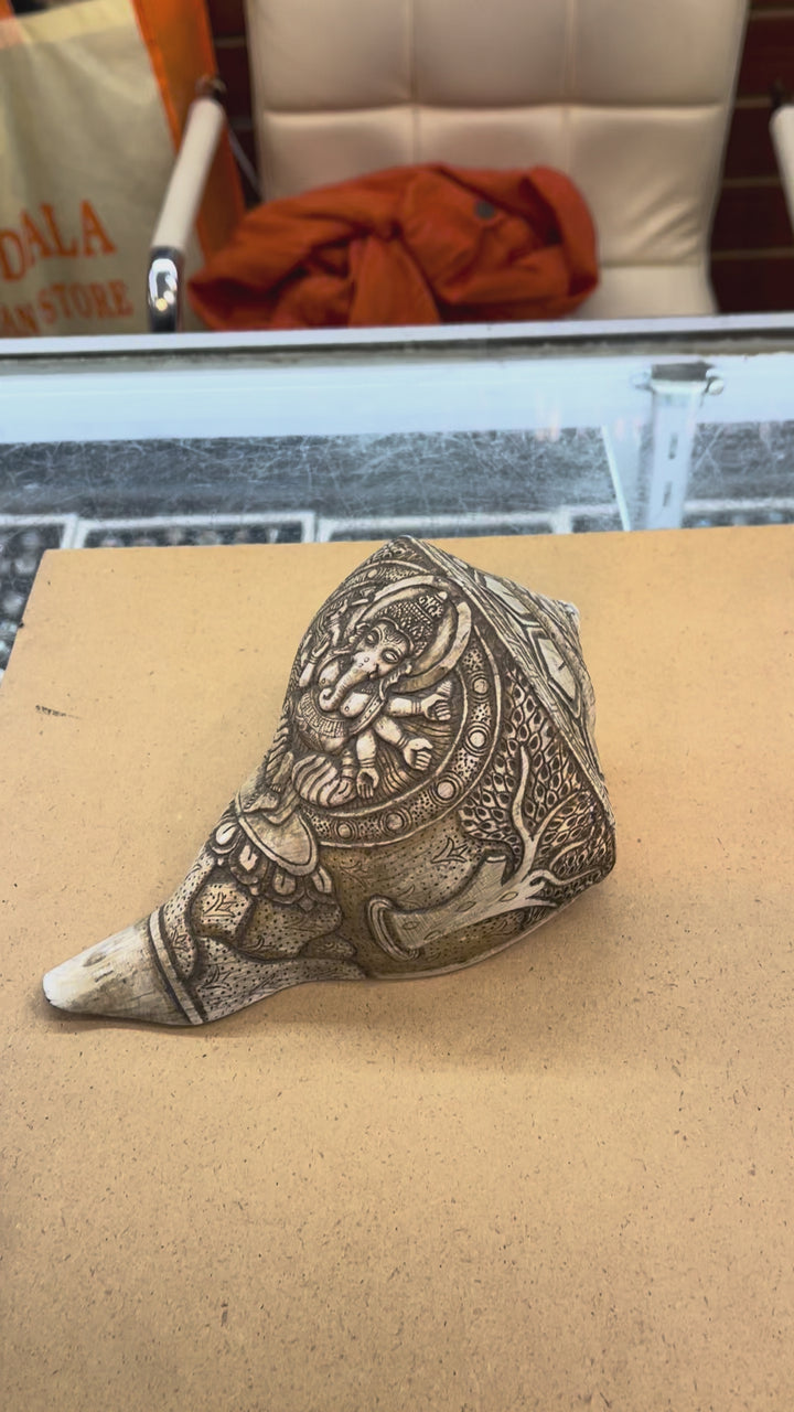 Hand Carved Traditional Tibetan Conch (Ganesha)