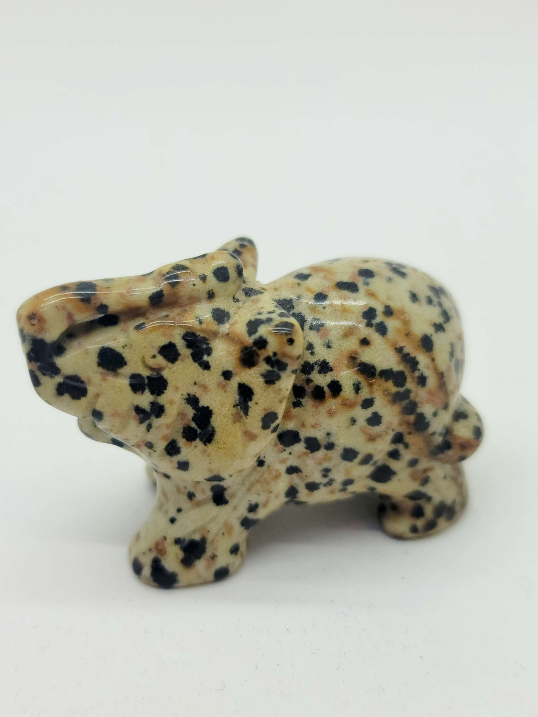 Dalmatian Jasper Elephant