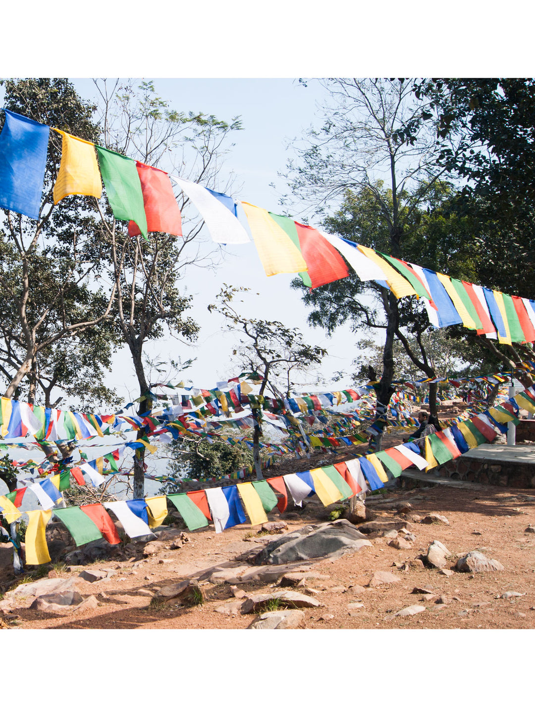 Polyester Windhorse Tibetan Prayer Flags