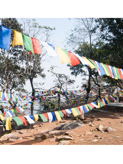 Seven Chakra Prayer Flags