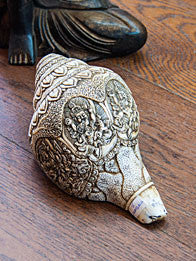Conch - Hand Carved Traditional Tibetan Conch (5 Zambala)