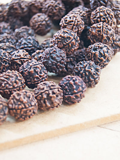 Malabead - Large Rudraksha Mala Bead